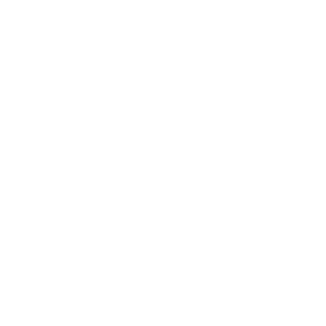 بوابة النور pp (1)